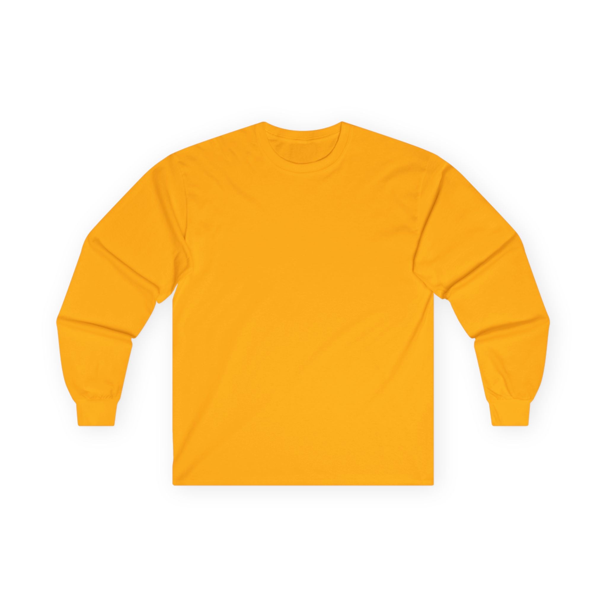 Resilience Phoenix Long Sleeve Tee — Rising Phoenix Design